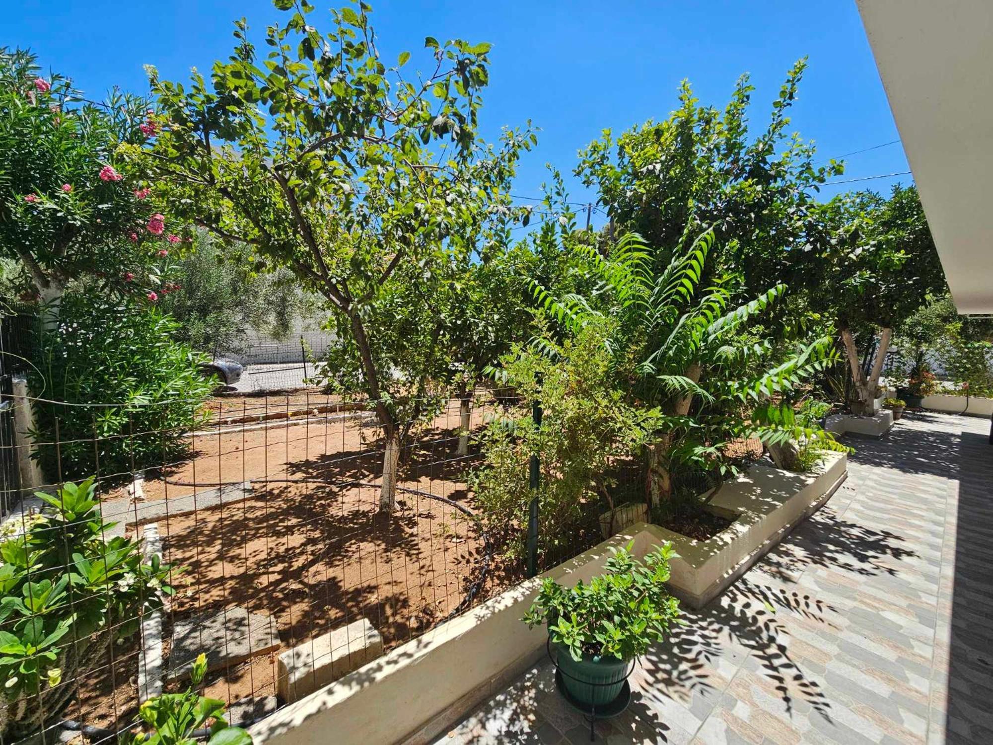 Melograno Apartment Markopoulo Mesogaias Ngoại thất bức ảnh