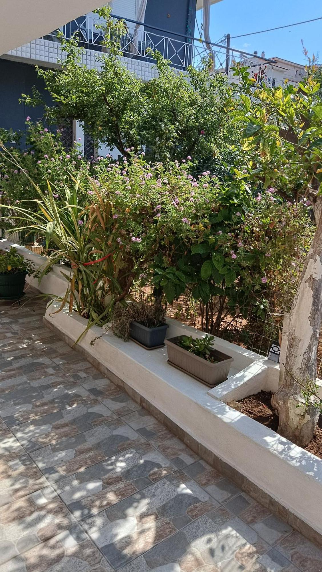 Melograno Apartment Markopoulo Mesogaias Ngoại thất bức ảnh