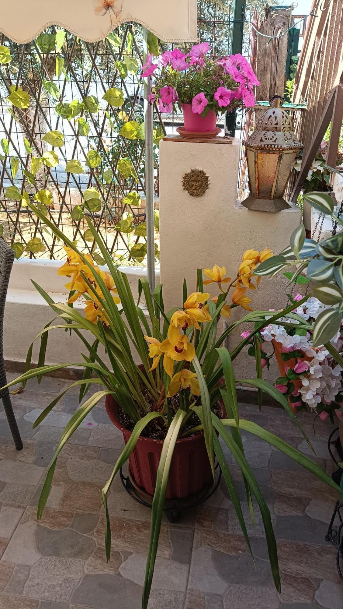 Melograno Apartment Markopoulo Mesogaias Ngoại thất bức ảnh